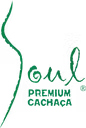 Bibo International logo