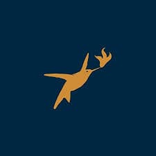 Lighthouse Imports logo