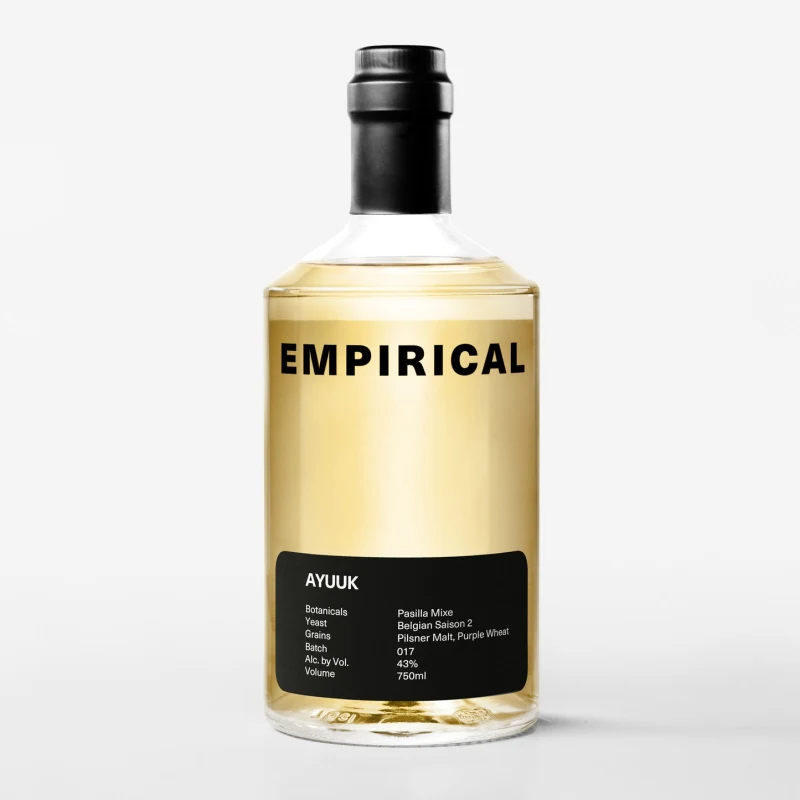 Empirical Ayuuk