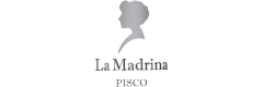 Adino LLC logo