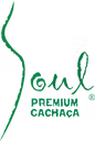 Bibo International logo