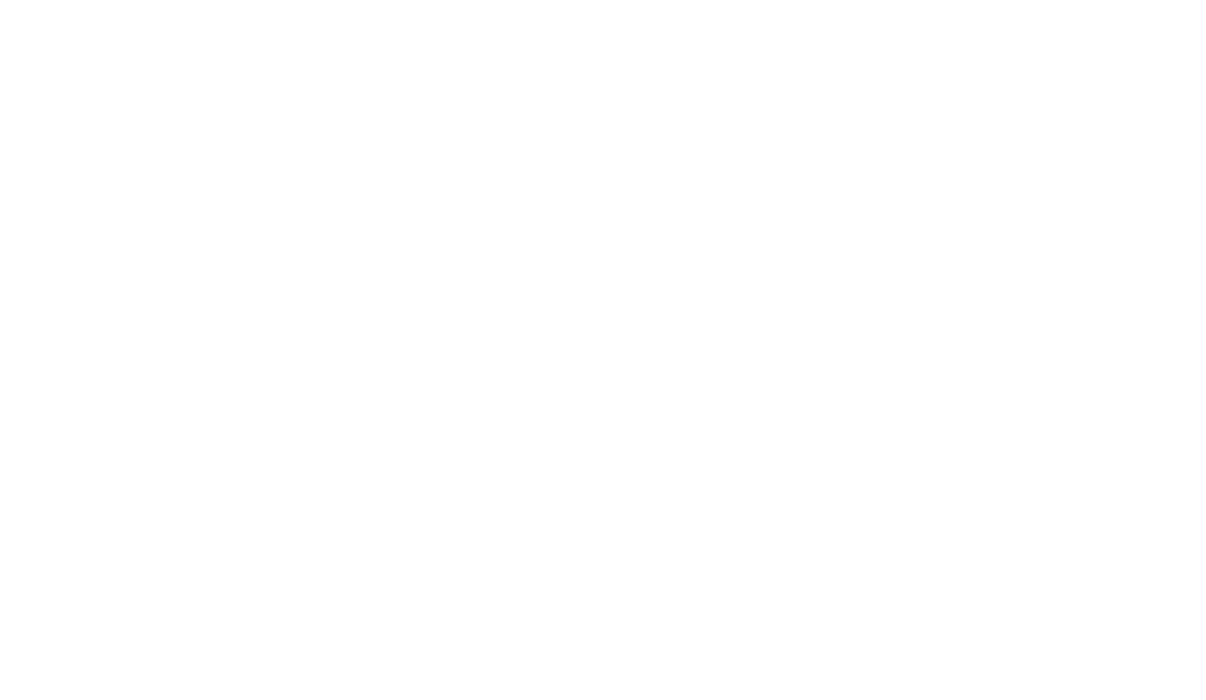 Vibe Black Vodka logo